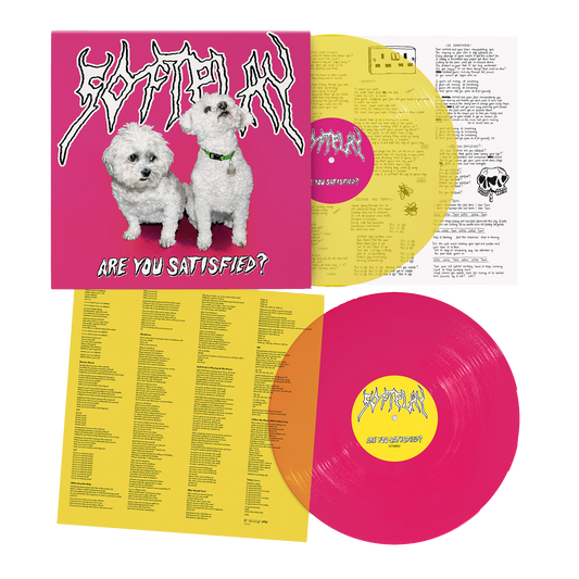 Are You Satisfied? | 10 Year Anniversary Double Vinyl